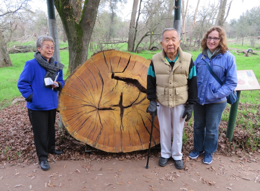 Norma and my folks with a cross section from a very old tree