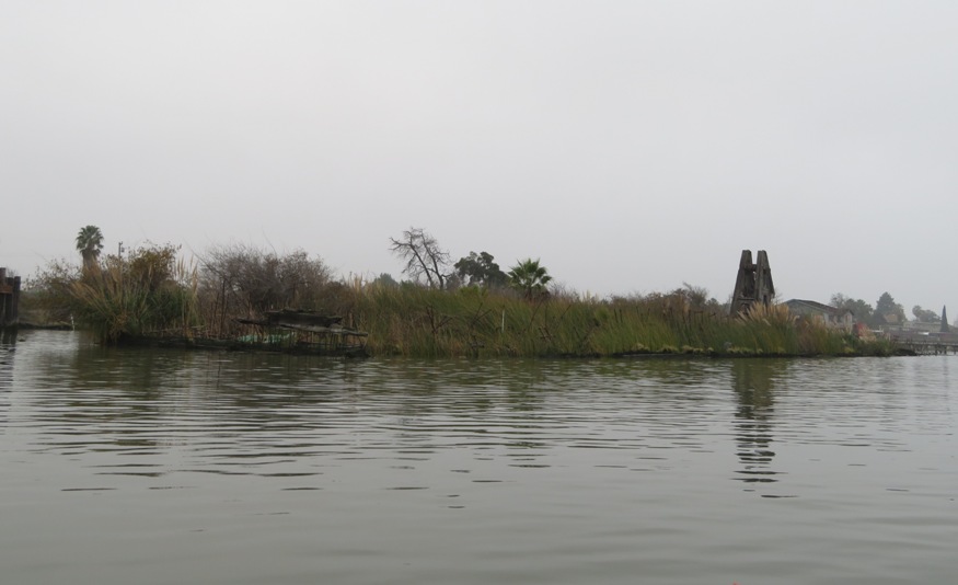 Overgrown shipwreck