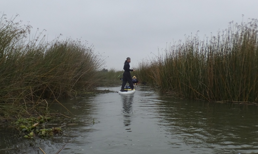 Me on SUP looking back in a narrow waterway