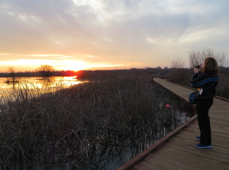 Norma taking a photo of the sunset from the boardwalk