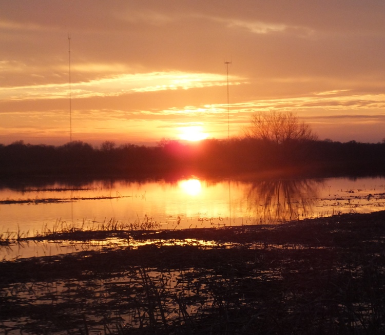 Sunset at Cosumnes River Preserve