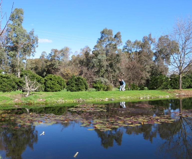 Dad and Marie walking on the far side of the pond