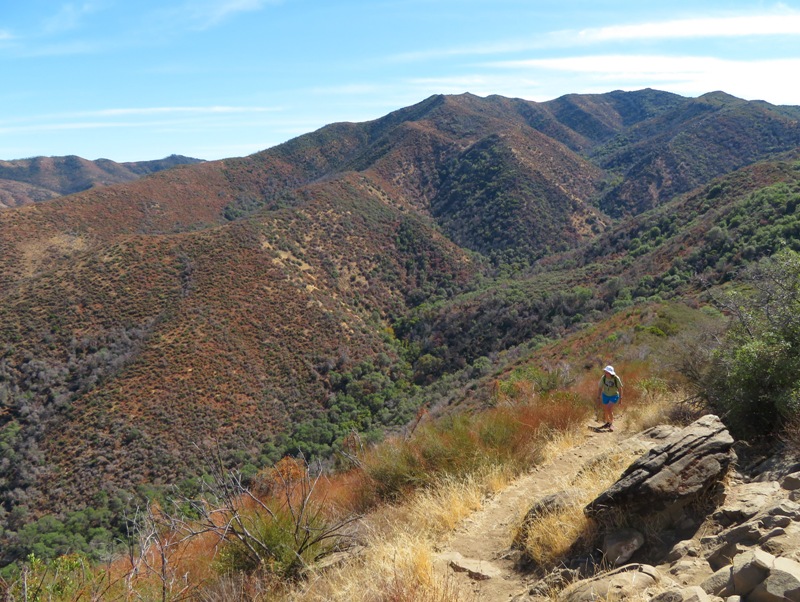 Norma walking on trail, looking out into the valley