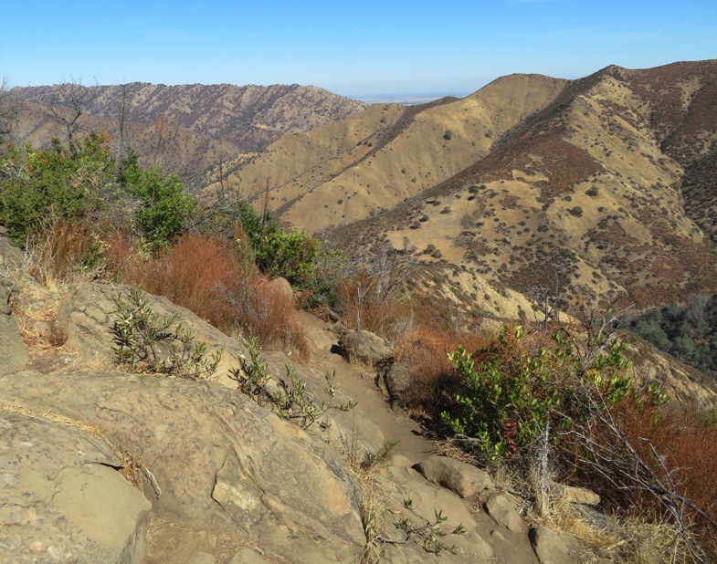 A rocky slope with some scrub