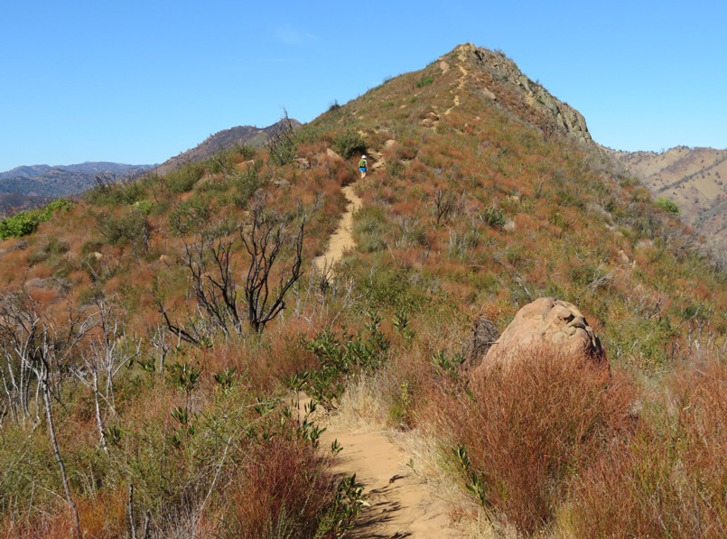 Norma walking uphill on trail to peak