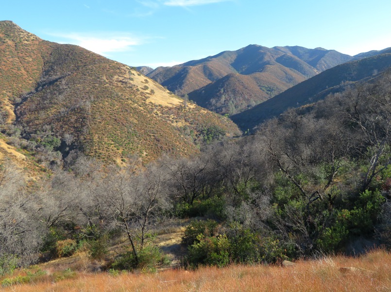 A view of the canyon we were gradually making our way down into