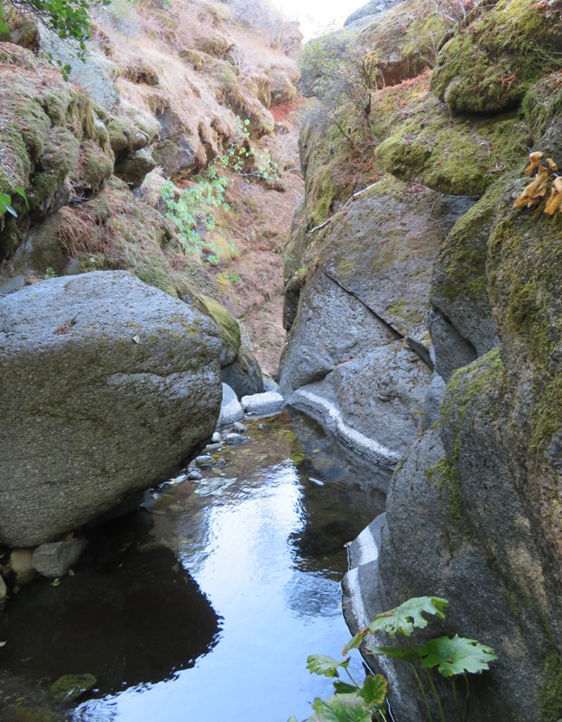 White line on rocks just above water