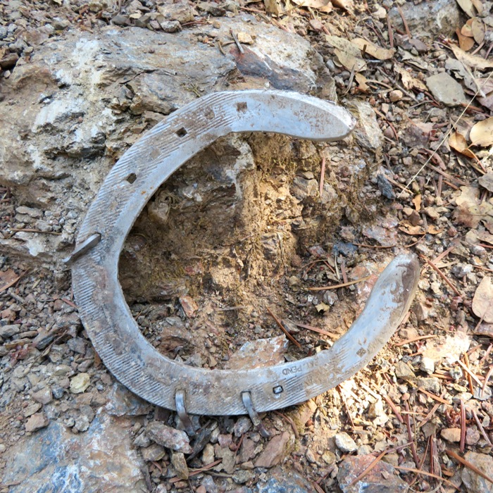 Aluminum horseshoe