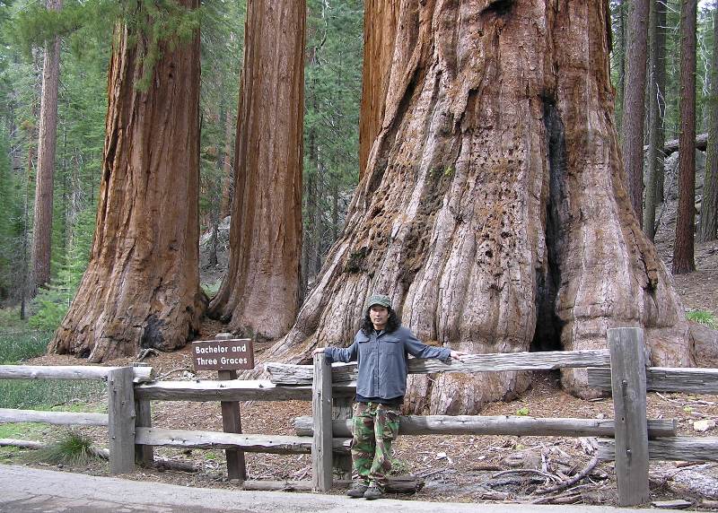 Me in front of big trees