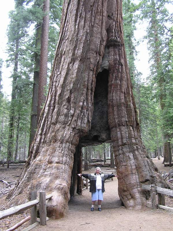 Hazel with outstretched arms in tunnel of tree