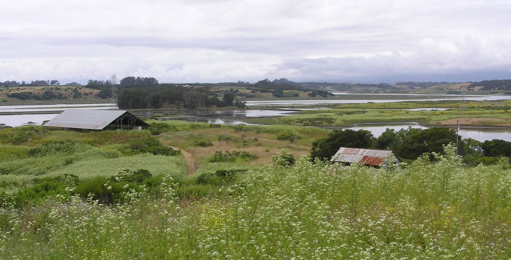 Wetlands and old buildings