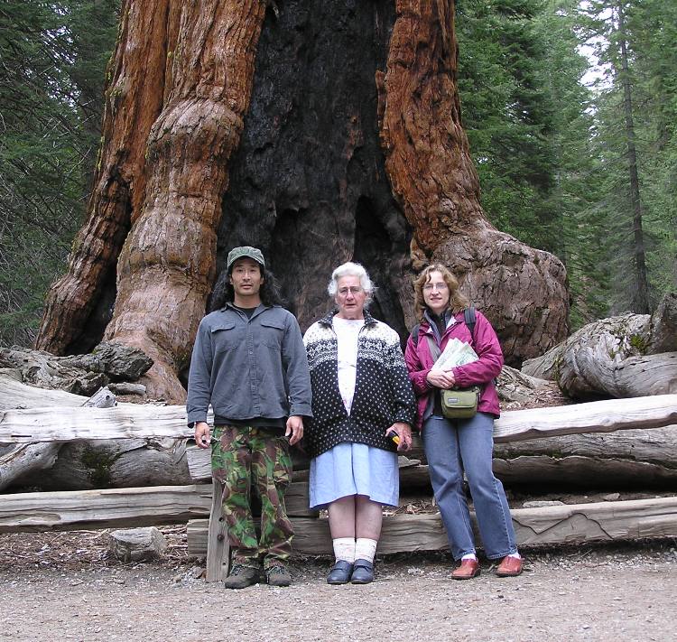 Norma, Hazel, and I in front of tree