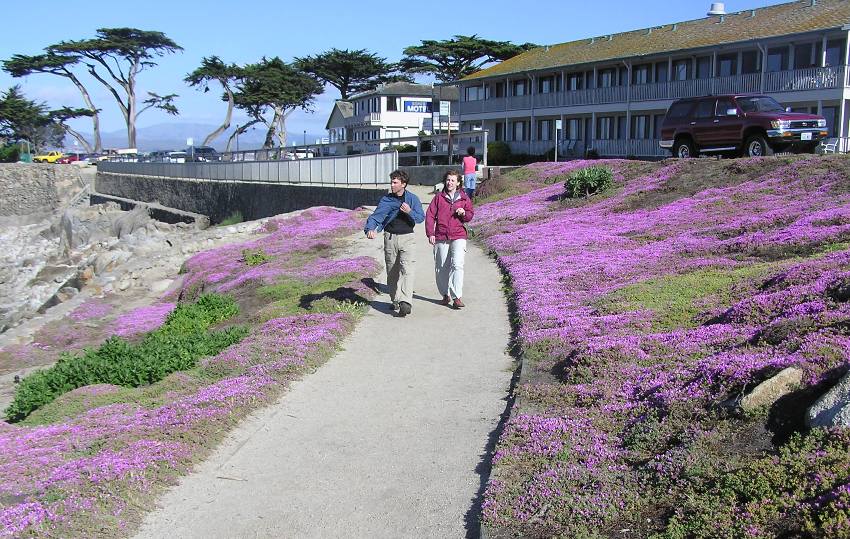 Ken and Norma with purple flowers