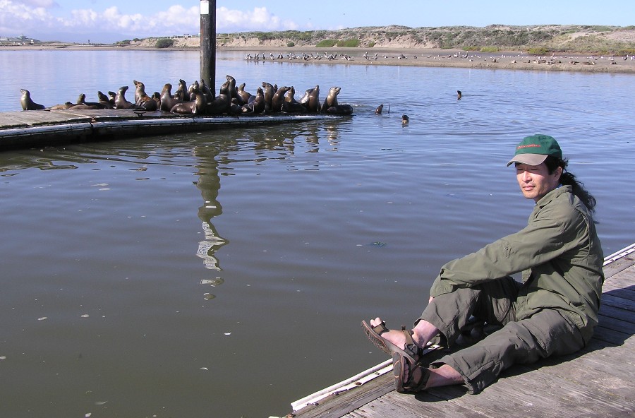 Me on the pier with sea lions behind