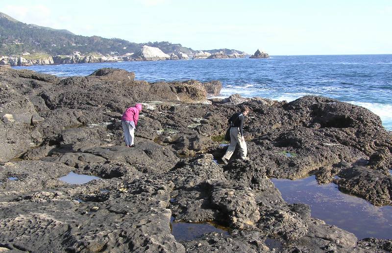 Norma and Ken tidepooling