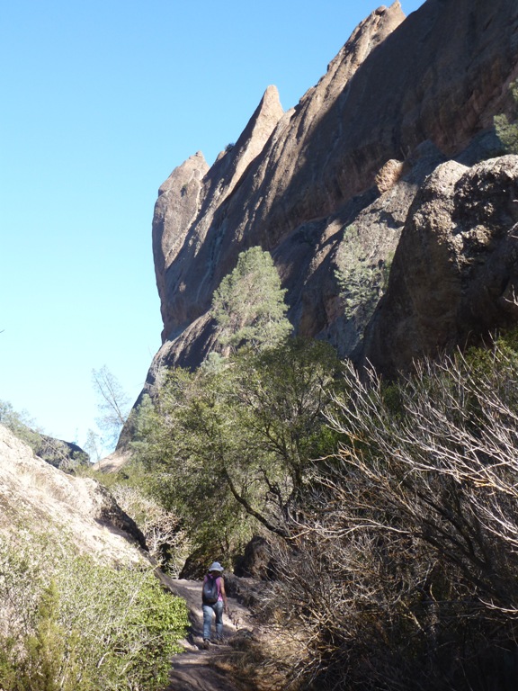 Norma walking on a shady part of the trail