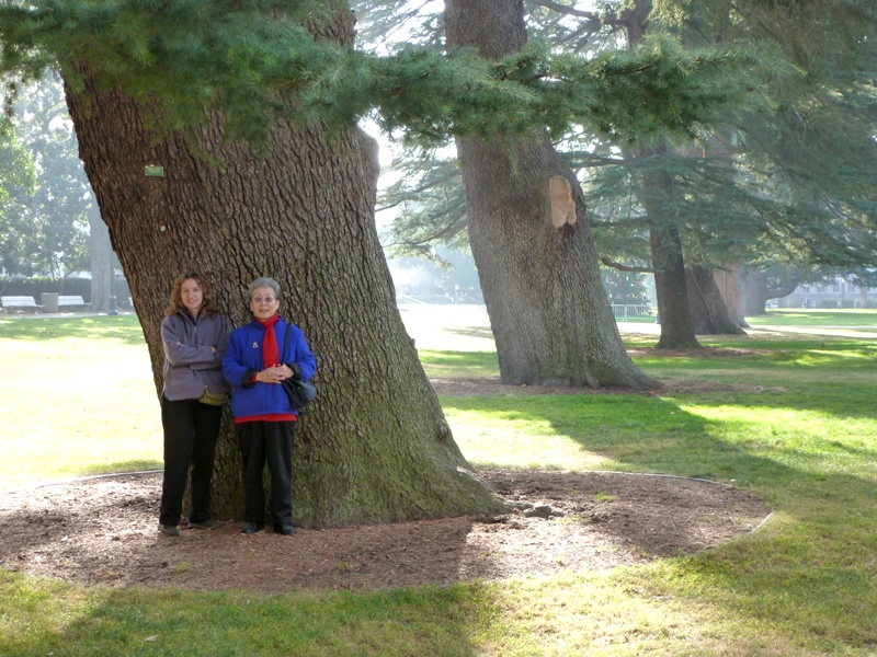 Norma and Mom in front of wide tree