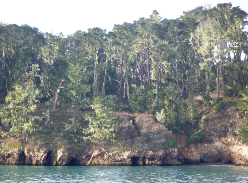 Small caves in the shoreline