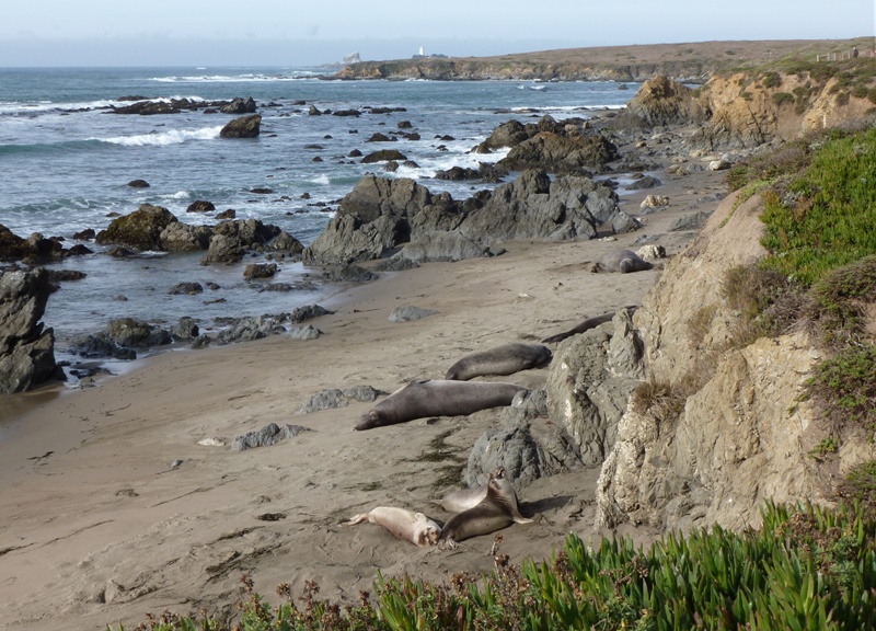 Piedras Blancas Light Station in the distance