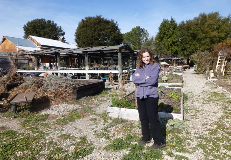 Norma in front of raised garden beds