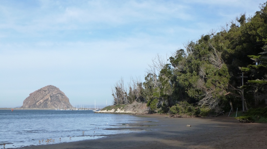 Morro Rock in the distance