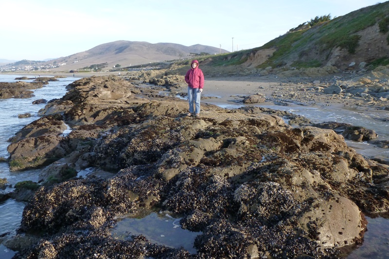 Norma standing on rocks covered with vegetation