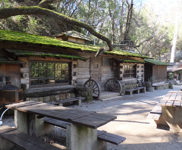 Mossy roof log cabin