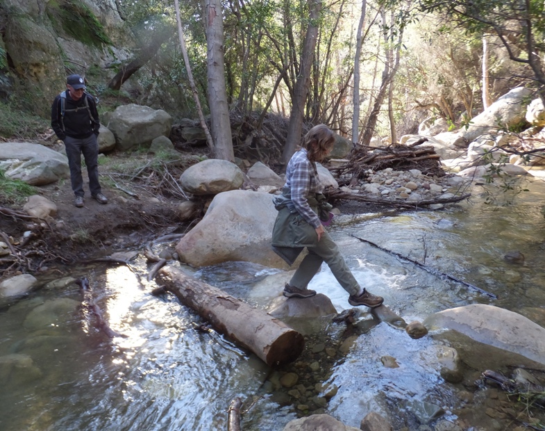 Norma crossing a stream with Mike watching