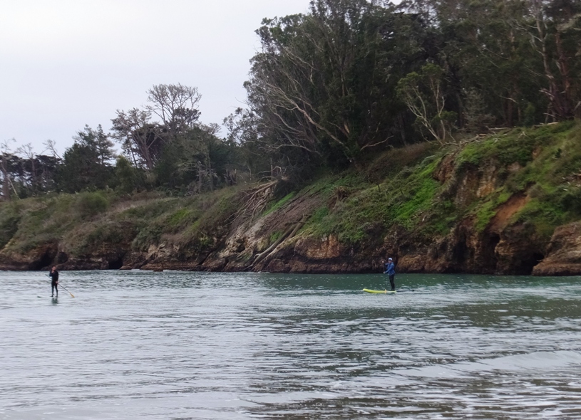 Two stand up paddleboarders