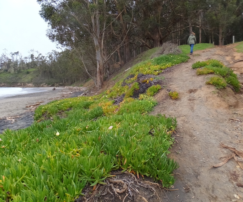 Norma walking uphill on trail