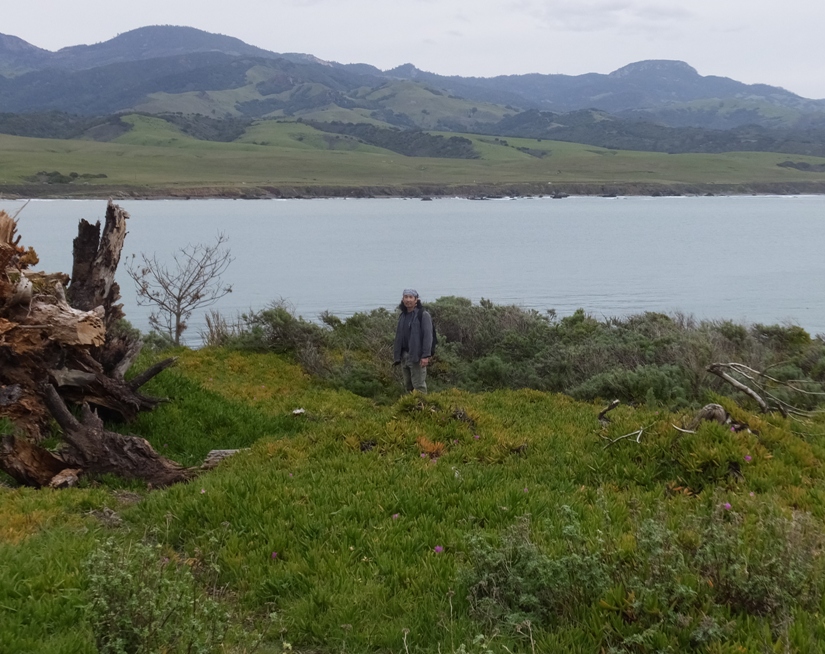 Me in a field of iceplants