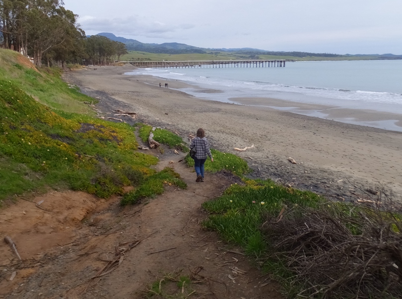 Norma walking downhill to the beach