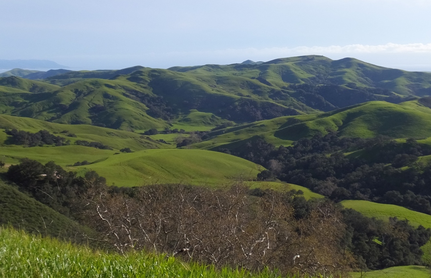 Green, rolling hills