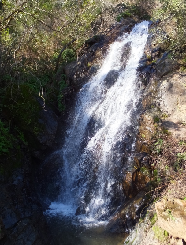 Calcutta Falls