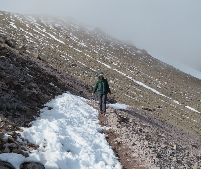 Norma walking downhill