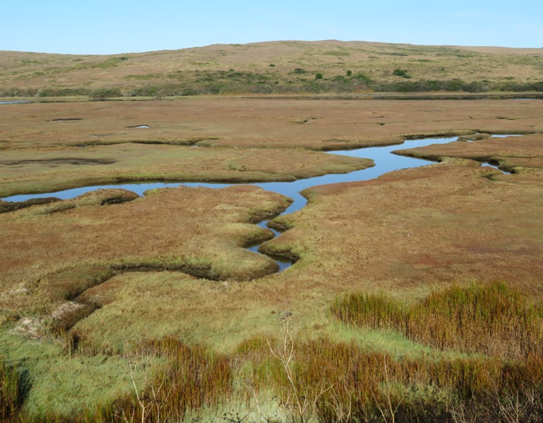 Winding waterway lined by vegetation