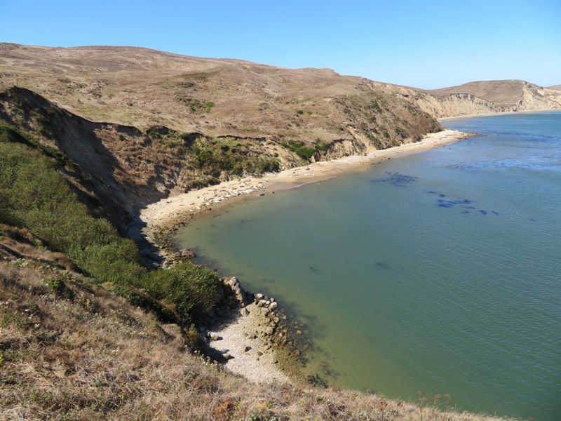 View of the water from elephant seal overlook