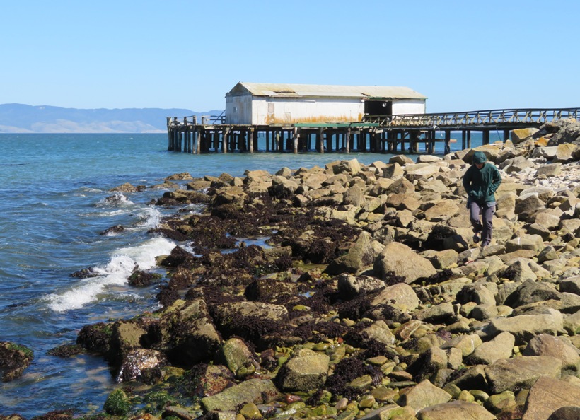 Norma walking on rocks