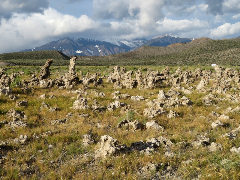 Tufas on grass with snow-peaked mountains behind