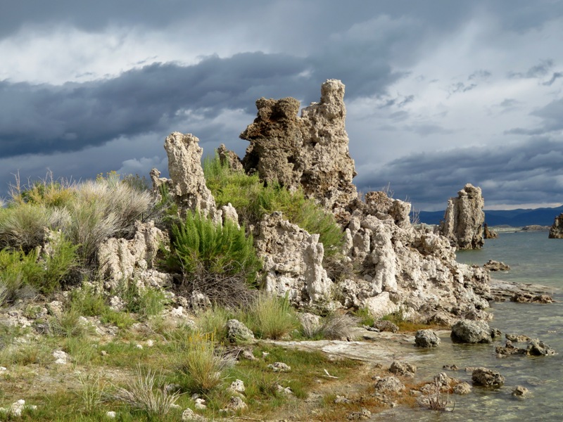 Tufas with desert vegetation