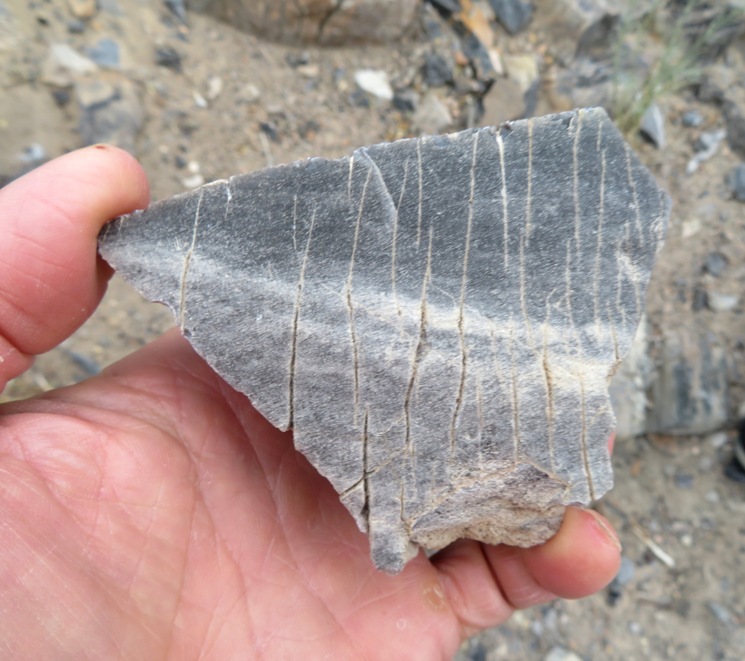 Small rocks with lots of fissures