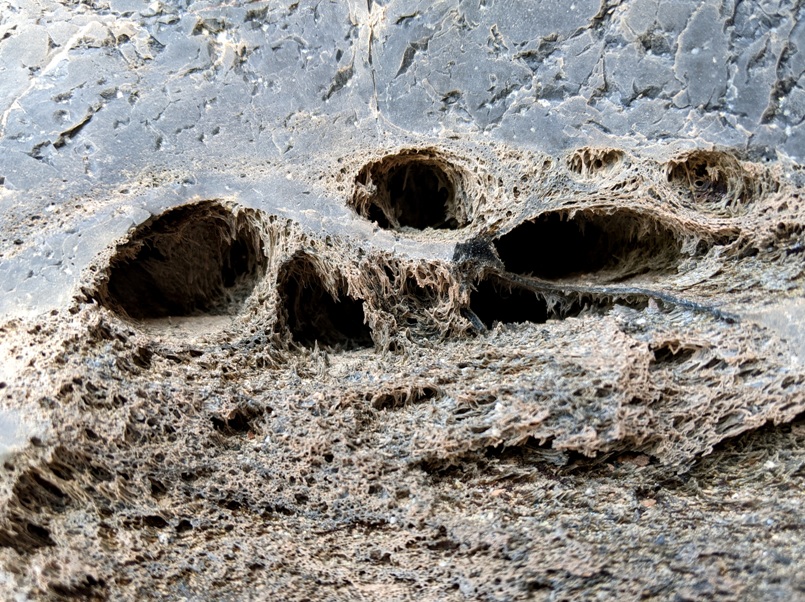 Web-like holes in stone