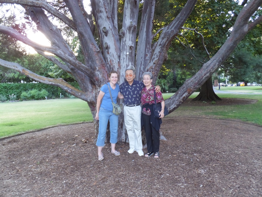 Norma and my parents in front of a big tree