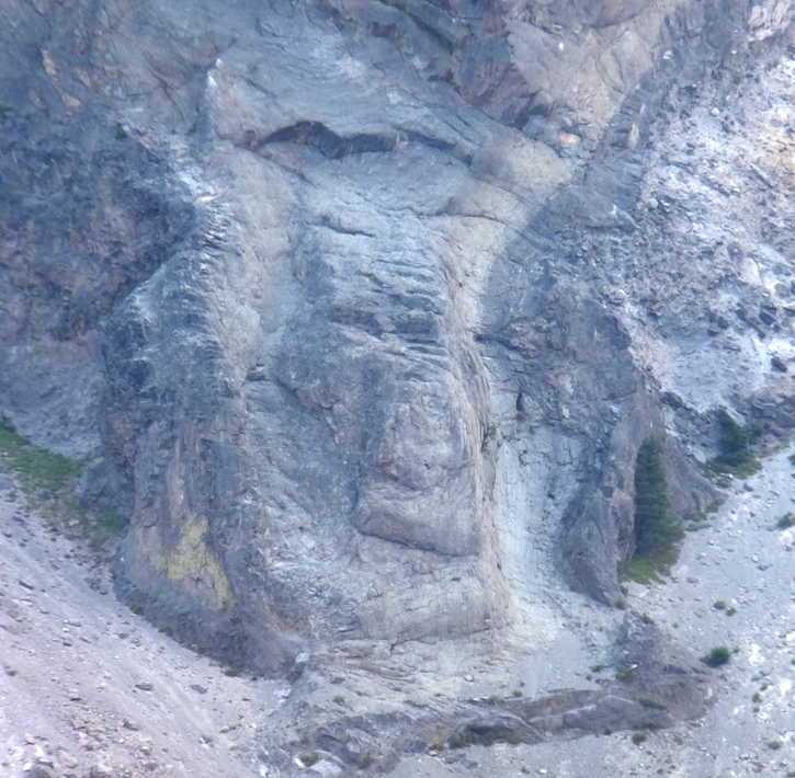 This rock reminded me of a monkey face