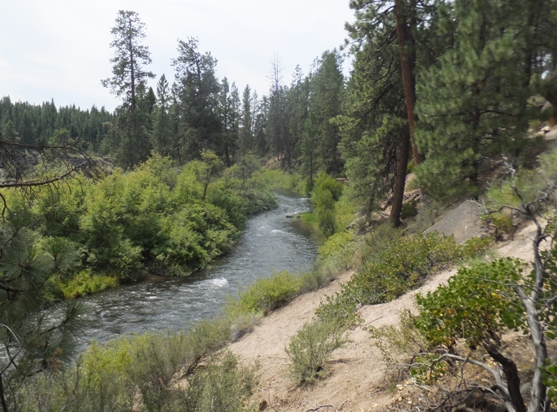 The trail along the river