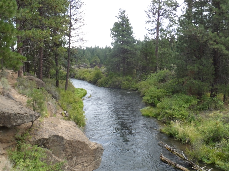 Looking down the river