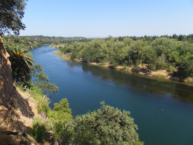 View of the river from Fair Oaks Bluff