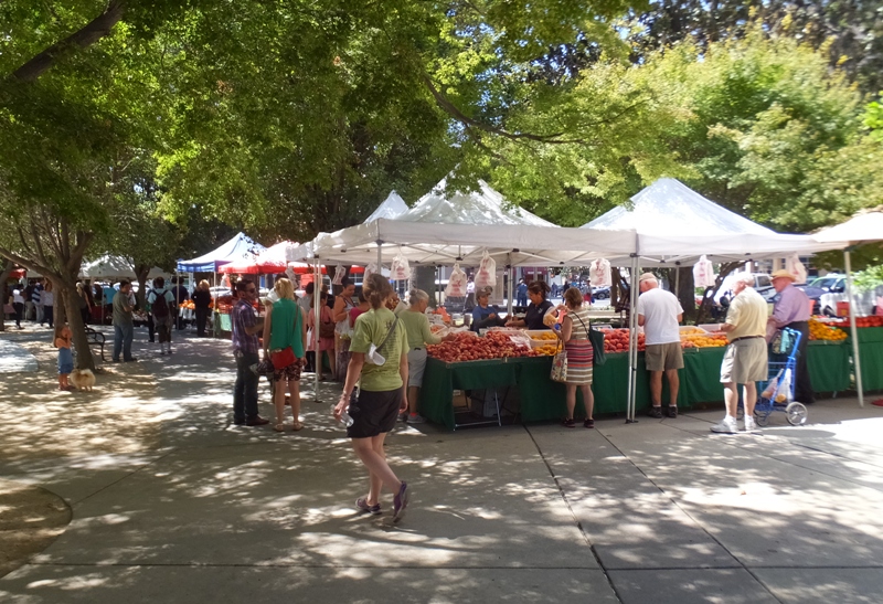 Farmers market at Cesar E. Chavez Plaza