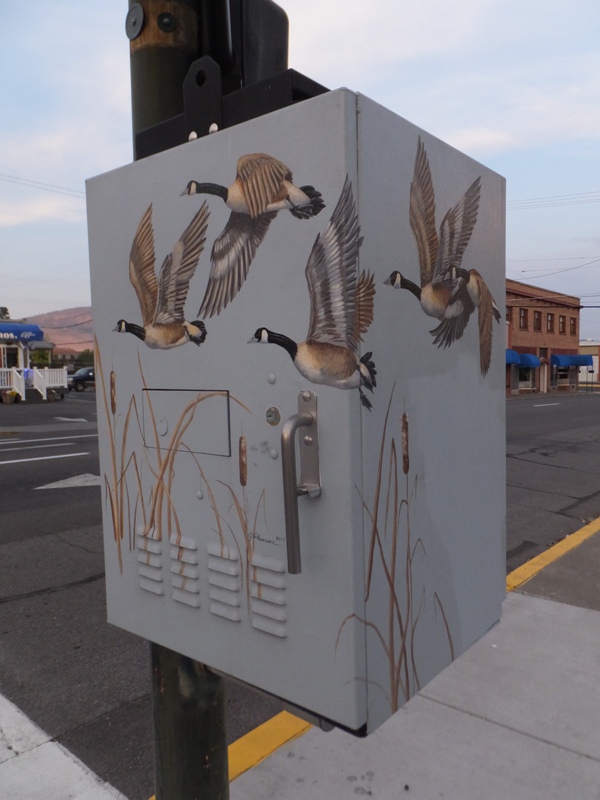 Flying geese on a utility box