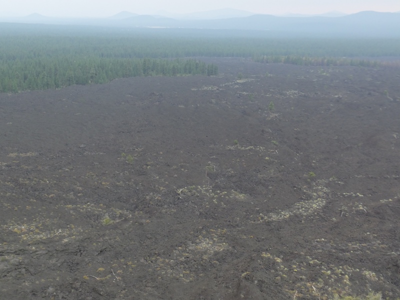 Lava rock covering ground